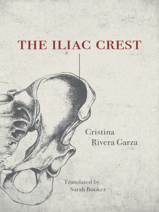 Cover image for The Iliac Crest